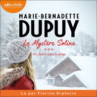 Un chalet sous la neige - Le Mystère Soline, tome 3