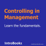 Controlling in Management