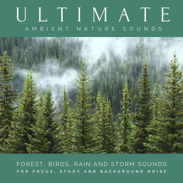 Barnes & Noble Ultimate Ambient Nature Sounds (XXL Bundle): Forest, Birds,  Lake Shore, Mountain Stream, Rain and Storm Sounds for Focus, Study and  Background Noise | The Summit