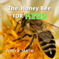 The Honey Bee for kids