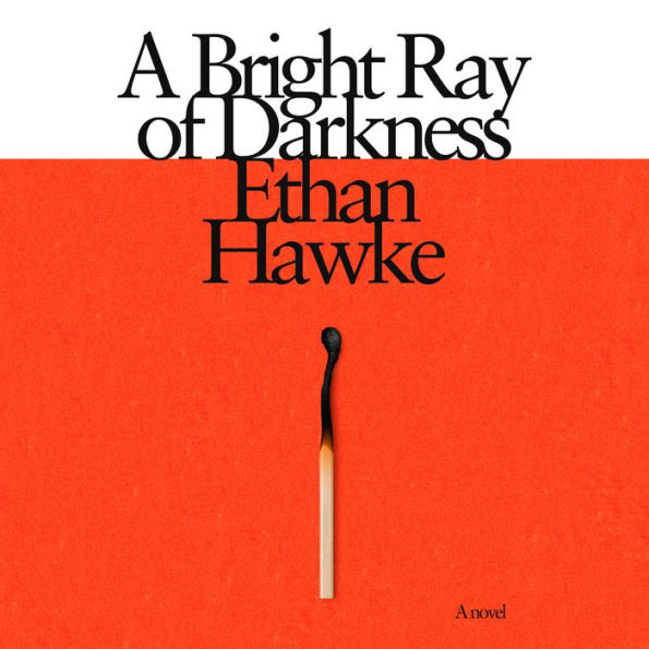 A Bright Ray of Darkness: A novel