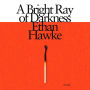 A Bright Ray of Darkness: A novel