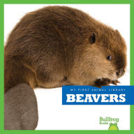 Beavers