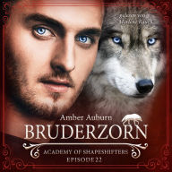 Bruderzorn, Episode 22 - Fantasy-Serie: Academy of Shapeshifters