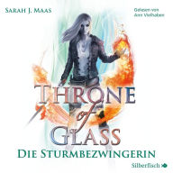 Die Sturmbezwingerin: Throne of Glass 5 (Empire of Storms)