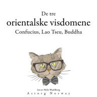 De tre orientalske vismennene, Confucius, Lao Tzu, Buddha ...: Samle de beste tilbudene