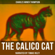 The Calico Cat