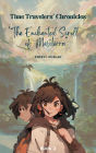 The Enchanted Scrolls of Mesoterra (Time Travelers' Chronicles, #2)