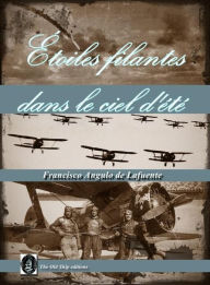 Title: Étoiles Filantes Dans le Ciel D'été, Author: Francisco Angulo de Lafuente