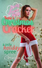 Katie's Christmas Cracker: A Poly Holiday Spree (Fun for Four, #2)