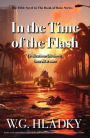 In the Time of the Flash (The Book of Ruin Series, #5)