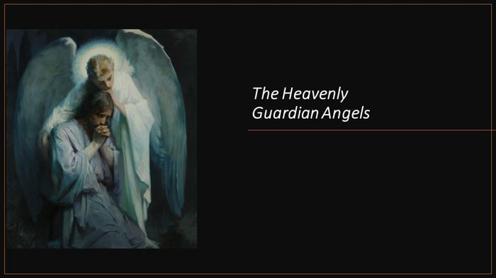 The Heavenly Guardian Angels by Fernando Davalos | eBook | Barnes & Noble®