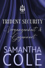 Trident Security: Vergangenheit & Gegenwart (Trident Security (Deutsch), #3)