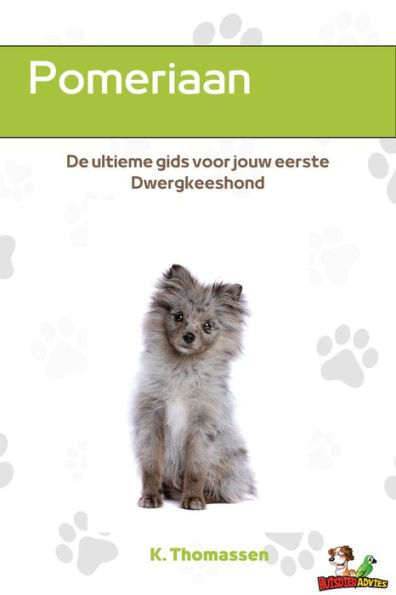 Pomeriaan - De ultieme gids voor jouw eerste Dwergkeeshond