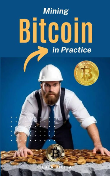 Mining Bitcoins in Practice