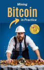 Mining Bitcoins in Practice