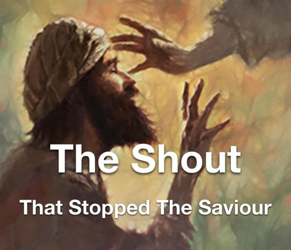 The Shout That Stopped The Saviour