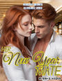 Her New Year Mate (HEARTFELT HOLIDAYS SILVERCREST SERIES, #2)