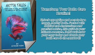 Title: Betta Tales - From Tank To Tail, Navigating The World Of Betta Keeping, Author: yeohcbs