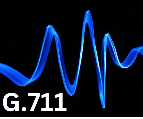 Understanding the G711 Codec