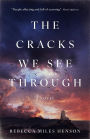 The Cracks We See Through