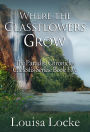 Where the Glassflowers Grow: Paradisi Chronicles (Caelestis Series, #5)
