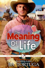 The Meaning of Life (Cozy Cowboys)