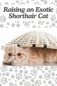 Title: Raising an Exotic Shorthair Cat, Author: Angela Wright