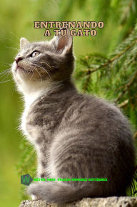 Title: Entrenando A Tu Gato, Author: Ubaldo Sánchez Gutiérrez