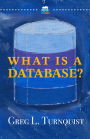 What Is A Database? (Pro Coder Series, #2)