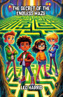 The Secret of the Endless Maze
