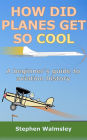 How Did Planes Get So Cool: A beginner's guide to aviation history (Kids Flight School Series, #5)