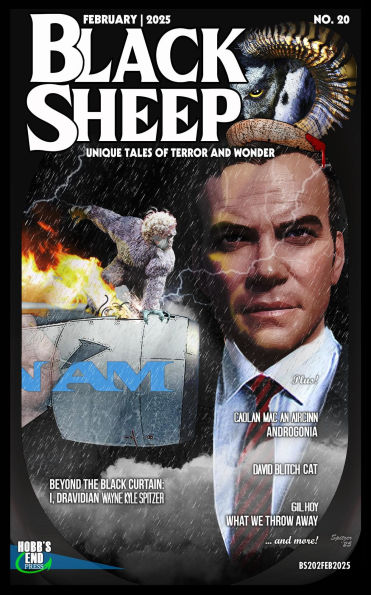Black Sheep: Unique Tales of Terror and Wonder No. 20 / February 2025 (Black Sheep Magazine, #20)