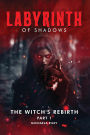 Labyrinth of Shadows (The Witch's Rebirth, #1)