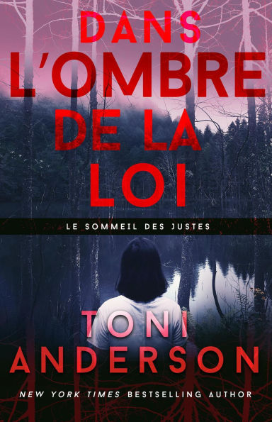 Dans l'ombre de la loi (Le sommeil des justes)