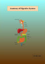 Anatomy of Digestive System
