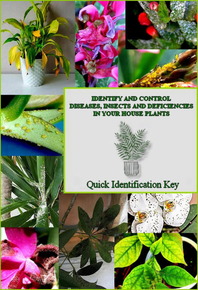 Identify and Control Diseases, Insects and Deficiencies in Your House Plants: Quick Identification Key