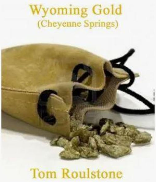 Wyoming Gold (Cheyenne Springs, #6)