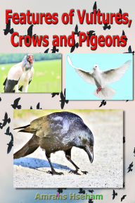 Title: Features of Vultures, Crows and Pigeons, Author: Amrahs Hseham