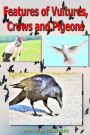 Features of Vultures, Crows and Pigeons