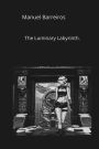 The Luminary Labyrinth