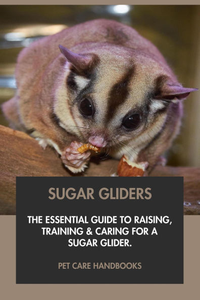 Sugar Gliders: The Essential Guide to Raising, Training & Caring for A Sugar Glider.
