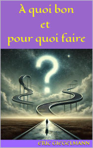 Title: À quoi bon et pour quoi faire: Une réflexion sur le sens de nos actions et de notre existence, Author: Eric Giegelmann