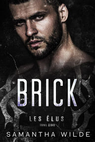 Read book free online no downloads Brick (French Edition) by Samantha Wilde   (English literature)