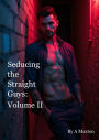 Seducing the Straight Guys: Volume 2
