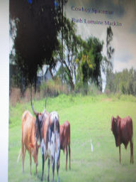 Title: Cowboy Spaceman, Author: Ruth Lorraine Macklin