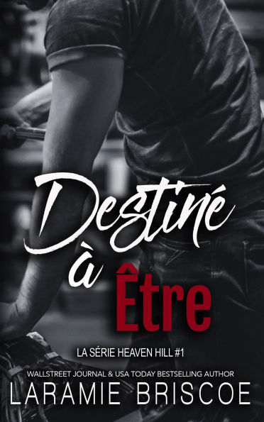 Destiné à Être (La Série Heaven Hill, #1)