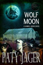 Wolf Moon (Gabriel Hawke Novel, #14)