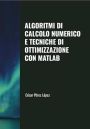 Algoritmi di Calcolo Numerico e Tecniche di Ottimizzazione con Matlab (OPTIMISATION)