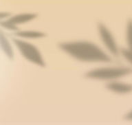 Title: Echoes of an Invisible Partner: Rising from the Ruins of Unseen Love, Author: Eva Nicholson